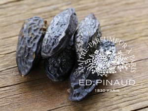 tonka beans